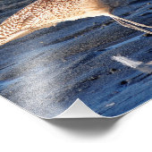 Marlofsjewissel op Sunset Foto Afdruk (Hoek)