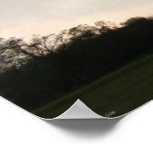 Marmaduke 2006 Tornado Poster (Hoek)