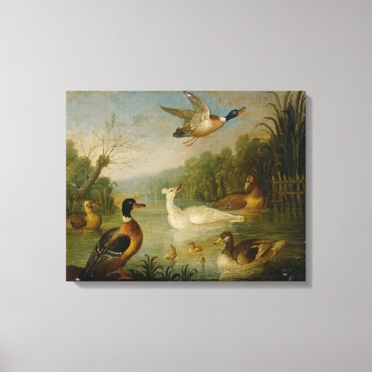  Marmaduke Cradock Mallards op een Pond Canvas Afdruk (Voorkant)