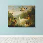  Marmaduke Cradock Mallards op een Pond Canvas Afdruk (Insitu (Houten vloer))