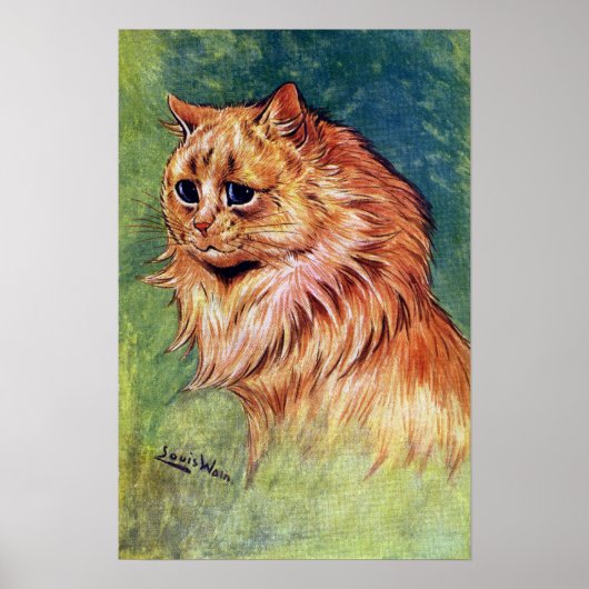 Marmalade Cat met Blue Eyes Poster (Voorkant)