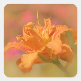 Marmalade - Daylily Vierkante Sticker