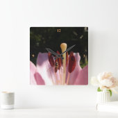 Marmalade Hoverfly - Episyrphus balteatus Vierkante Klok (Huis)