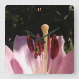 Marmalade Hoverfly - Episyrphus balteatus Vierkante Klok