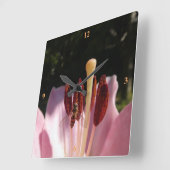 Marmalade Hoverfly - Episyrphus balteatus Vierkante Klok (Hoek)