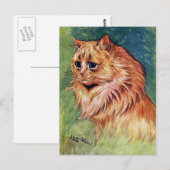 Marmalade kat met blauwe ogen briefkaart (Voorkant / Achterkant)