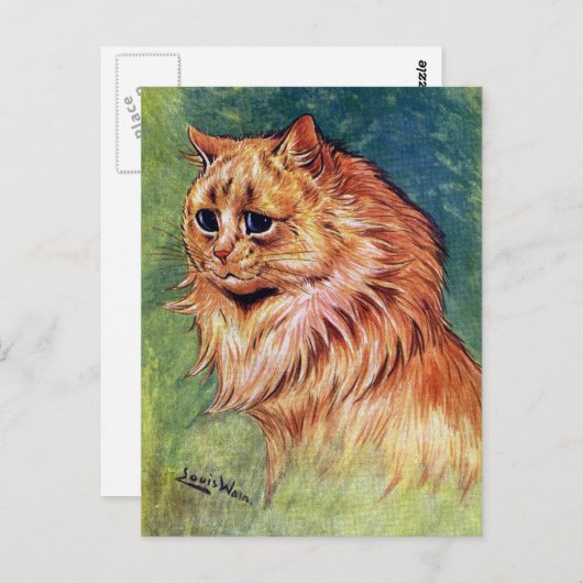 Marmalade kat met blauwe ogen briefkaart (Voorkant / Achterkant)