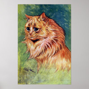 Marmalade kat met blauwe ogen poster