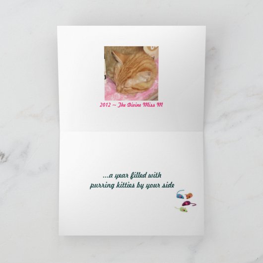 Marmalady Cat Rescue Christmas Kaarten (Binnen)