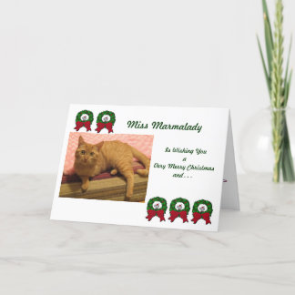 Marmalady Cat Rescue Christmas Kaarten
