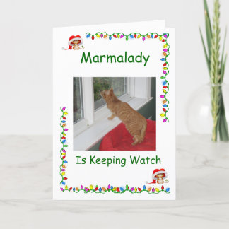 Marmalady Cat Rescue Kerstkaarten Feestdagen Kaart