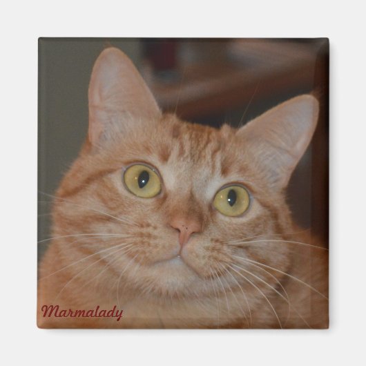 Marmalady & "De Glimlach" Magneet (Voorkant)