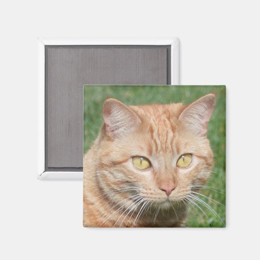 Marmalady in de zon magneet (Voorkant / Achterkant)