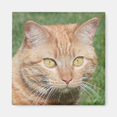 Marmalady in de zon magneet (Voorkant)