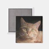 Marmalady Magnet (Voorkant / Achterkant)