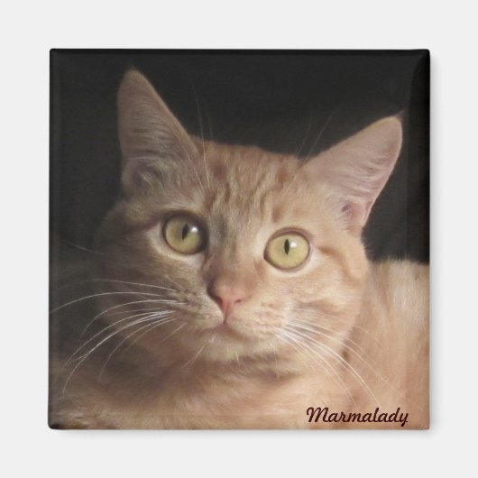 Marmalady Magnet (Voorkant)