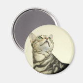 Marmer Bengalen Kat Magneet (Voorkant / Achterkant)