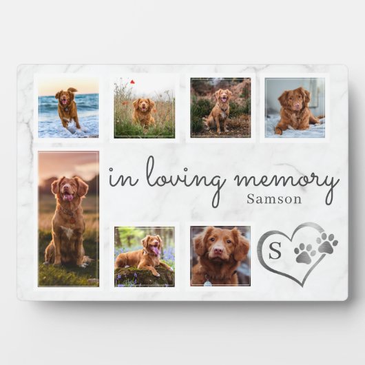 Marmer in Loing Memory Dog Memorial Fotoplaat (voorkant)