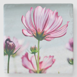 Marmer Kosmos Onderzetter