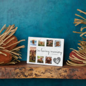 Marmeren Hondengedenkteken In Loving Memory Fotoplaat (Zijkant)