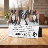 Marmeren huisdier verlies herdenkingscitaat & foto fotoplaat