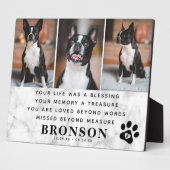 Marmeren huisdier verlies herdenkingscitaat & foto fotoplaat (Zijkant)