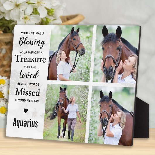 Marmeren Paard Herdenkingsfoto Collage Fotoplaat