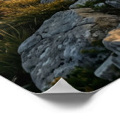 Marmeren Ram Mountain Pride Poster (Hoek)