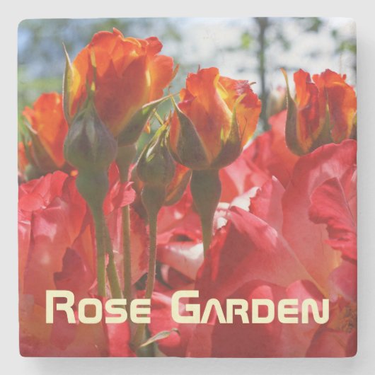 Marmeren stenen onderzetters Rozen Tuin Rode Rozen (Voorkant)