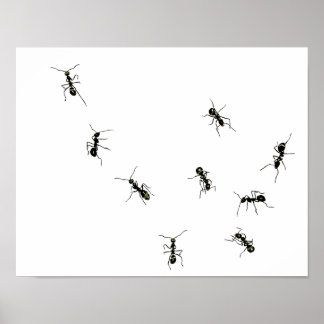 marmermieren.png poster