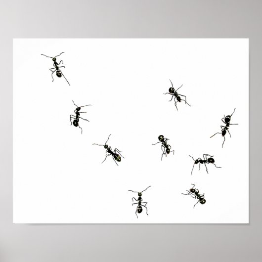 marmermieren.png poster (Voorkant)