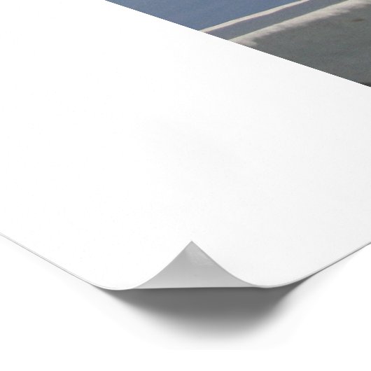 Marmerpaard Poster (Hoek)