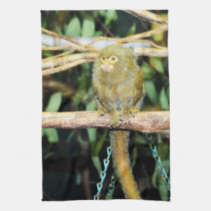 Marmoset-aap op een filiaal, thea-handdoek theedoek