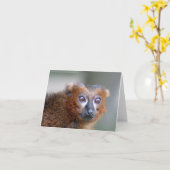 Marmoset Kaart (Gele Bloem)