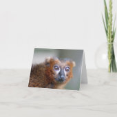 Marmoset Kaart (Voorkant)