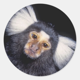 Marmoset Monkey Ronde Sticker
