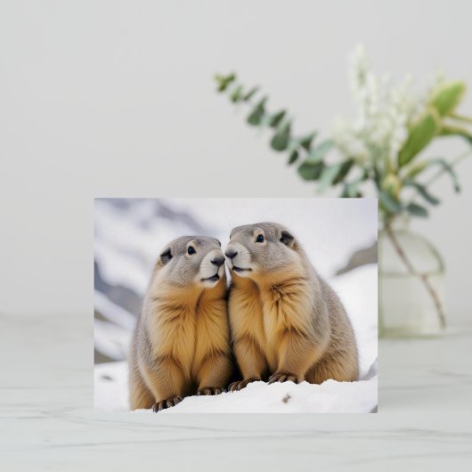 Marmot Animal Natuur Wildlife Affection Caring Folie Feestdagen Briefkaart (Staand Voorkant)