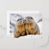 Marmot Animal Natuur Wildlife Affection Caring Folie Feestdagen Briefkaart (Voorkant / Achterkant)