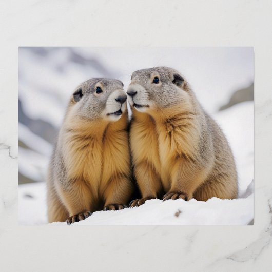 Marmot Animal Natuur Wildlife Affection Caring Folie Feestdagen Briefkaart (Voorkant)