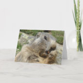 Marmot birthday card kaart (Achterkant)