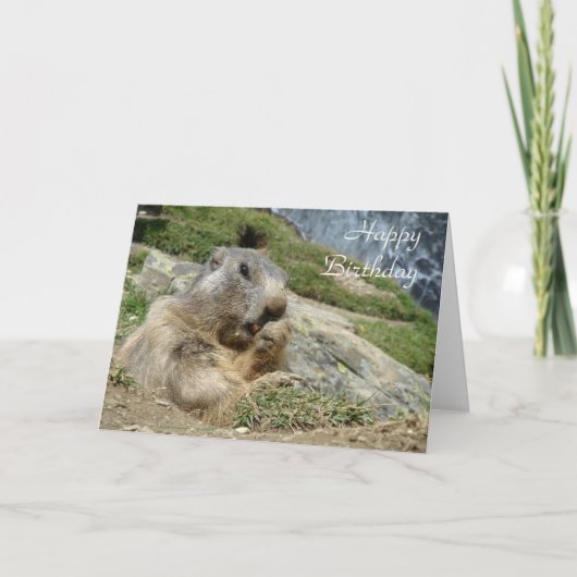 Marmot birthday card kaart (Voorkant)