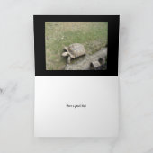 Marmot Birthday Kaart (Binnen)