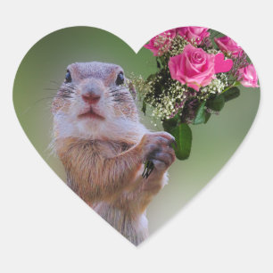 Marmot boeket hart sticker
