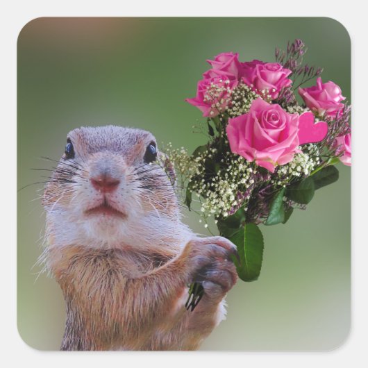 Marmot boeket vierkante sticker (Voorkant)