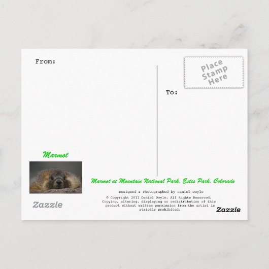 Marmot Briefkaart (Achterkant)