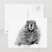 Marmot Briefkaart (Voorkant / Achterkant)