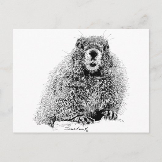 Marmot Briefkaart (Voorkant)