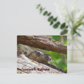 Marmot Brothers Leavenworth Washington Briefkaart (Staand voorkant)