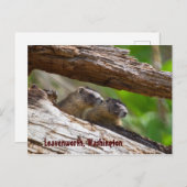 Marmot Brothers Leavenworth Washington Briefkaart (Voorkant / Achterkant)