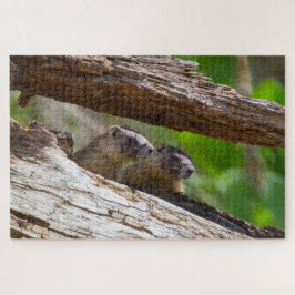 Marmot Brothers Legpuzzel